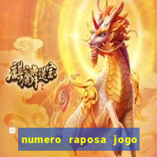 numero raposa jogo do bicho